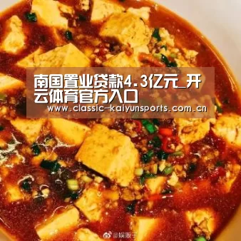 南国置业贷款4.3亿元_开云体育官方入口(图2) 开云体育赛事