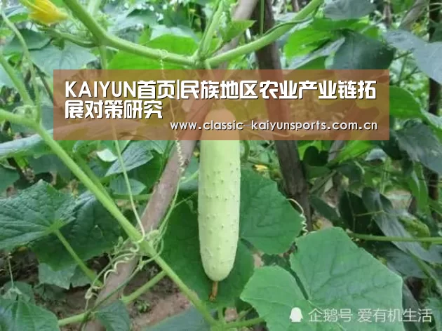 KAIYUN首页