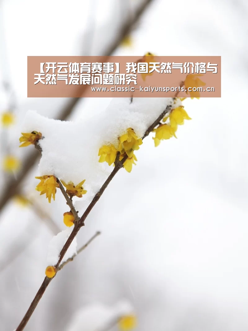 【开云体育赛事】我国天然气价格与天然气发展问题研究(图2) 开云体育官方入口