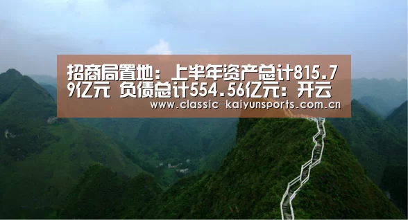 招商局置地:上半年资产总计815.79亿元 负债总计554.56亿元:开云体育赛事(图4) 开云比分